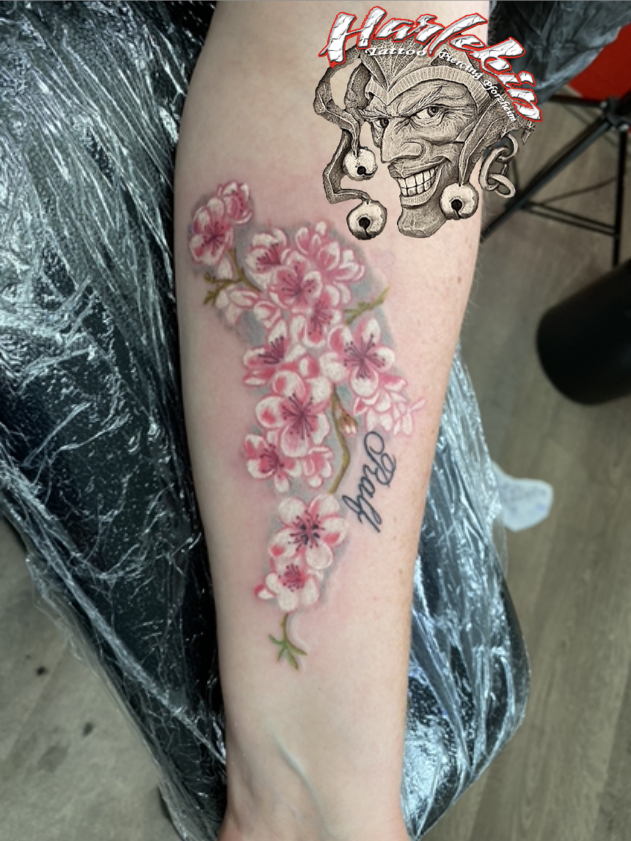 Harlekin Tattoo &amp; Piercing Pforzheim Euer Studio mit zeitnahen
